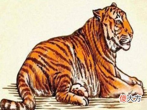 98年属虎24岁有一灾吗,1998年属虎2022年本命年破解方法