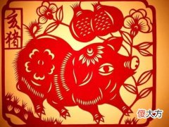 属猪的今年多大,2022年属猪的几岁