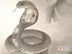 李居明2022年生肖蛇运势运程