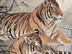 2022年属虎本命年可以穿红色吗?虎年本命年穿红色犯冲吗
