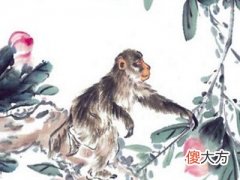 2022年犯太岁最凶的四大生肖,2022年化解太岁最简单的方法大全