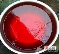 梦见水里有血有着怎样的特殊含义？(图文)