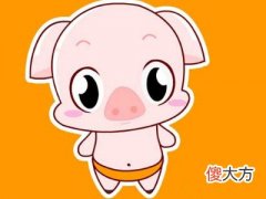 2022年属猪破太岁是什么意思,生肖猪虎年犯太岁如何化解