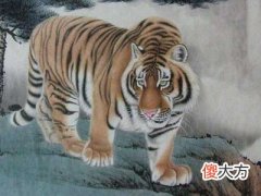 2022年属虎的本命年好不好,要注意什么