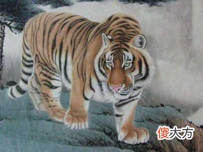 2022年属虎的本命年好不好,要注意什么