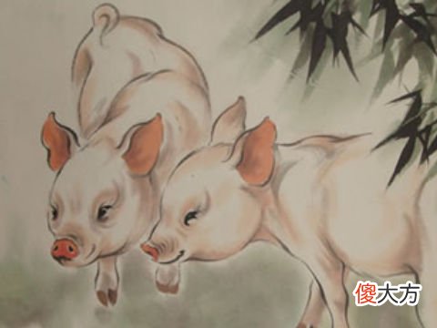 属猪在2022年破太岁结婚好不好 2022年属猪人的全年运势相破怎么化解