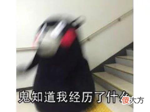 【游戏世界】韩国人跟风做了个吃鸡端游，没国服还为中国玩家做简中，可惜凉了