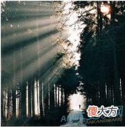 怎样的梦才算是好梦(图文)