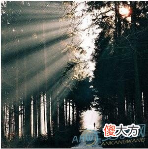 怎样的梦才算是好梦(图文)