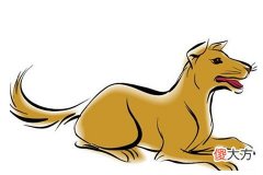 狗年和什么生肖最合拍