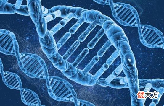 一个未知的DNA！研究称人类祖先曾与神秘生物杂交，会是谁？