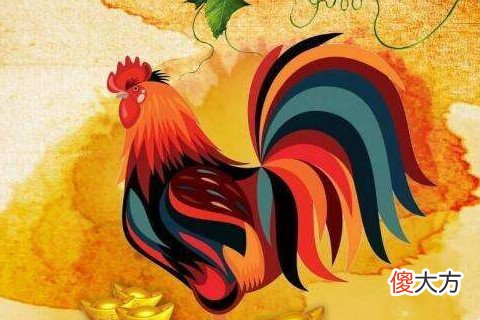 属鸡犯冲的四个属相是哪些属相