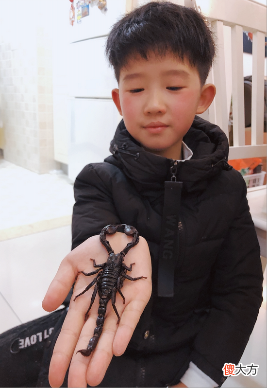 孩子暑假沉迷做“棺材”，面对娃的特殊爱好，家长做法值得借鉴