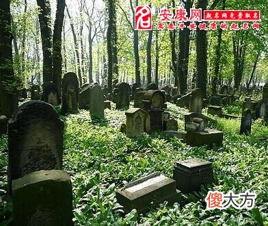 梦见一片坟墓(图文)