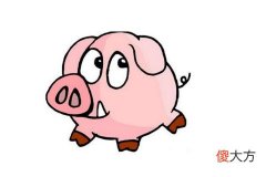 属猪人最苦命出生时辰在哪些时候