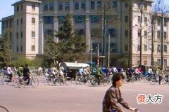 1986年属虎女的是什么命 1986年属虎女命运