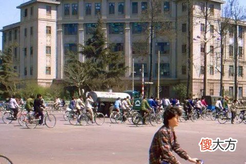 1986年属虎女的是什么命 1986年属虎女命运