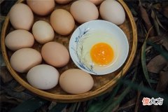 梦见鸡蛋(图文)
