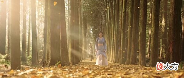 【历史故事】《星汉灿烂》原著:三个未婚夫,程少商为何只愿与楼垚定亲