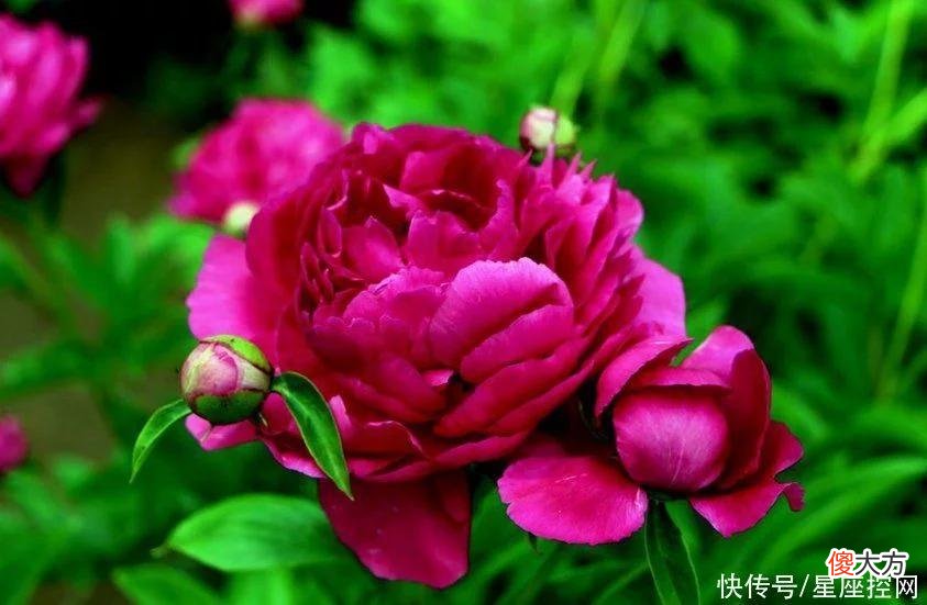 【星座控】生肖兔在几岁容易大起大落？机遇很重要，翻身会有时
