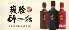 【爱历史】明朝灭亡时，世界各国都在做些什么？清华教授：明亡不可思议
