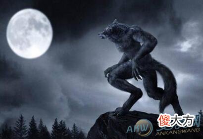 梦见狼人(图文)