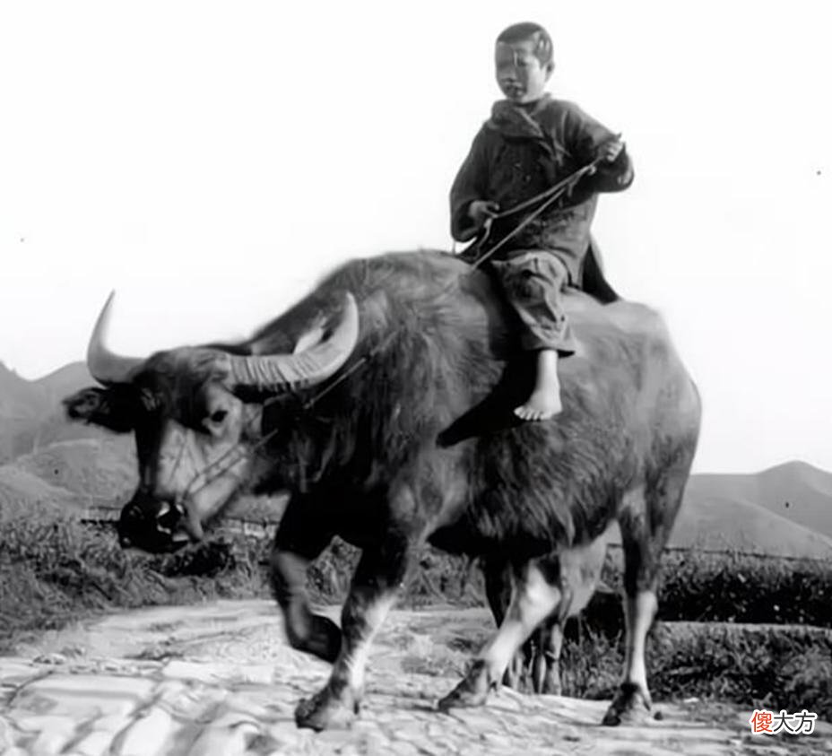 【爱历史】电影中少年英雄你了解多少？许世友之子系潘冬子，王二小其实姓阎
