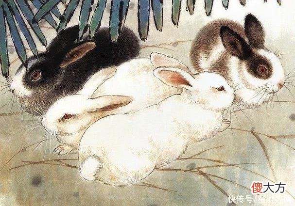 【星座控】12生肖中，鲤鱼跃龙门，翻身又逆袭，从7月一直旺到12月