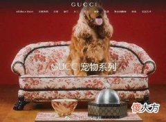 【就爱时尚】Gucci一张宠物床7万，买了就不能退换