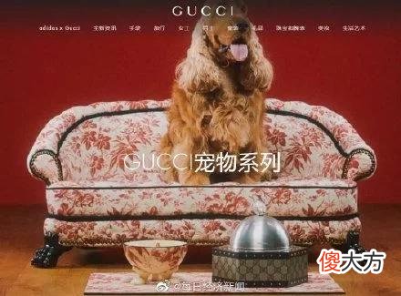 【就爱时尚】Gucci一张宠物床7万，买了就不能退换