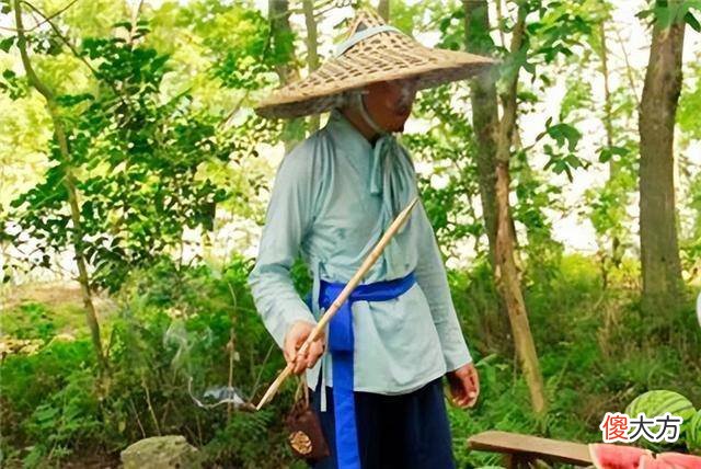 【历史故事】《还珠格格》乾隆微服私访时在路边吃瓜，事后为何处死瓜农？