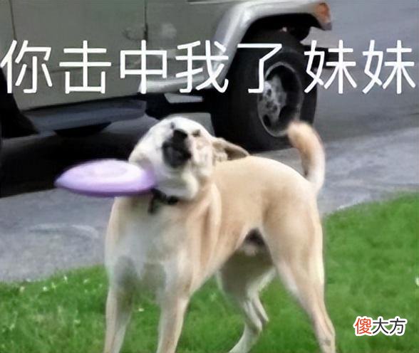 【游戏世界】一梦江湖之关山排面拉满？少侠：这波爆料我可以！