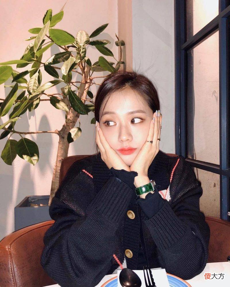 【时尚一点】Lisa和Jisoo斗表，你站哪一个的穿搭风格？妖艳或文艺，你来选