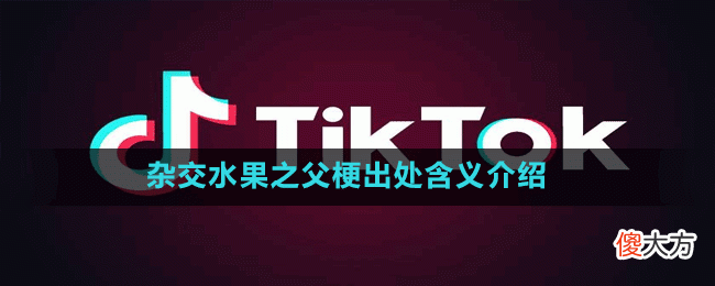 杂交水果之父是什么梗| 杂交水果之父是什么梗