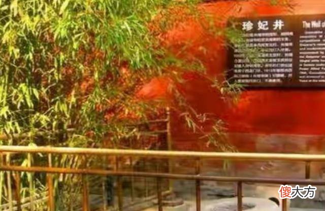 【历史故事】珍妃的悲惨结局是注定的吗？