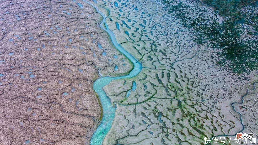 【星座控】2022下半年，爱神助力，盛世良缘加身，执手真爱，地久天长的生肖