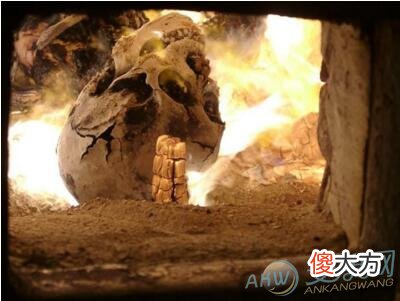 梦见火葬场和死人(图文)
