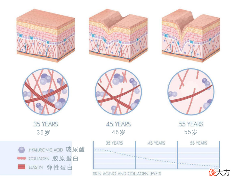 【就爱时尚】如果毛孔会说话，它们会告诉你的4件事！