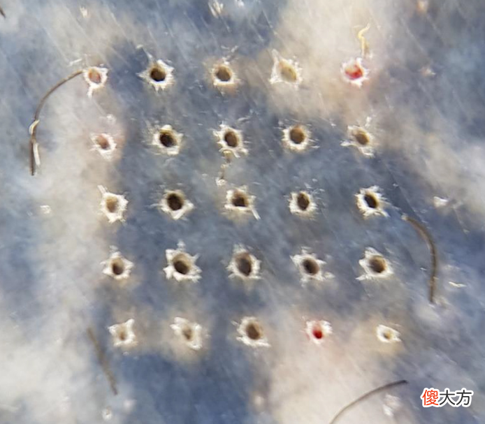 【就爱时尚】如果毛孔会说话，它们会告诉你的4件事！