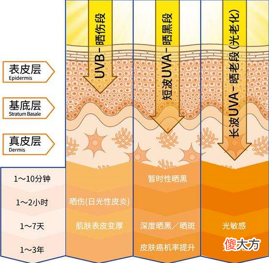 【就爱时尚】如果毛孔会说话，它们会告诉你的4件事！