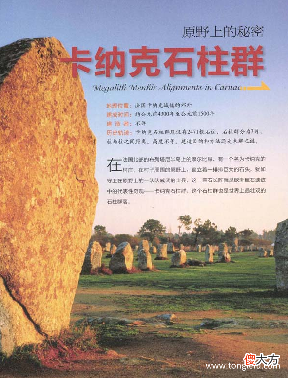 Megalith menhir Alignments in Carnac 「世界文明奇迹：欧洲」卡纳克石柱群简介——原野上的秘密