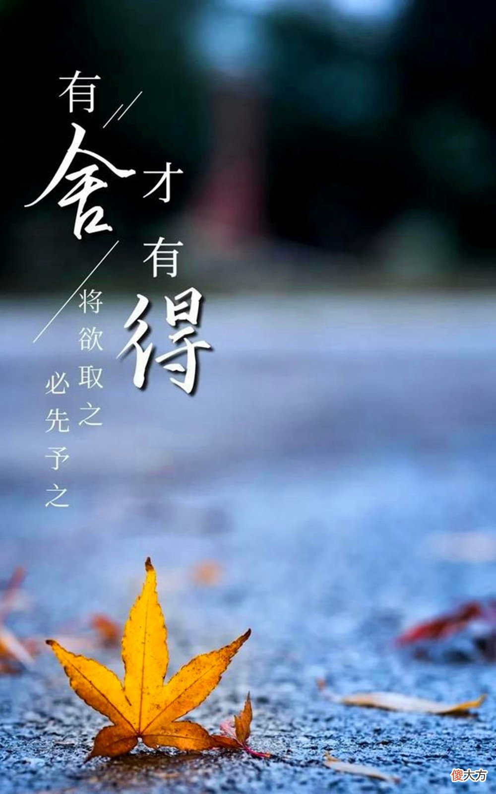 【时尚一点】50、60岁的女人：千万别穿紧身裤：太low！试试这样打扮：优雅又漂亮！