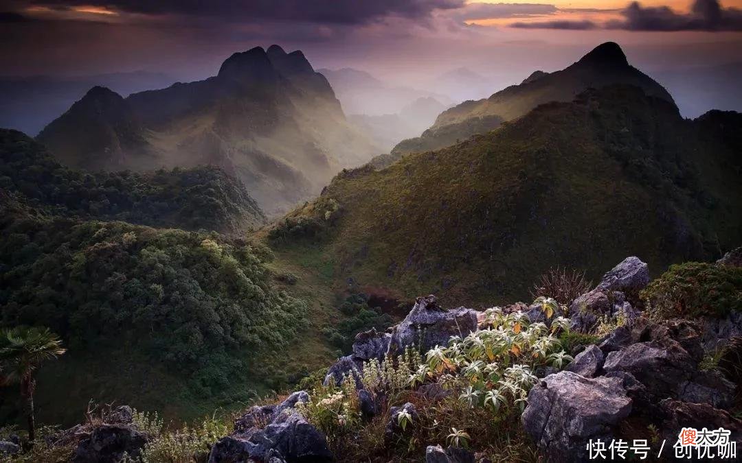 【十二星座】2022下半年,行流年大运,喜事成双,财源滚滚,姻缘正旺的3生肖