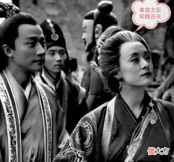 【爱历史】说起魏丑夫，必谈“昭王母”