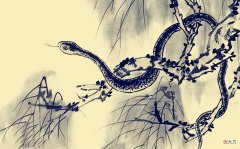 【爱历史】民间故事：农夫与七条白蛇