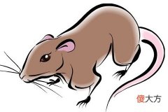 1966年属马男人的感情命运走向