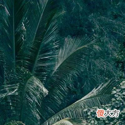 【时尚一点】美人计 | 喝酒不露怯的100种方式