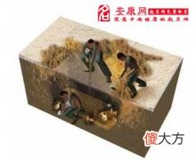 梦见挖墓(图文)