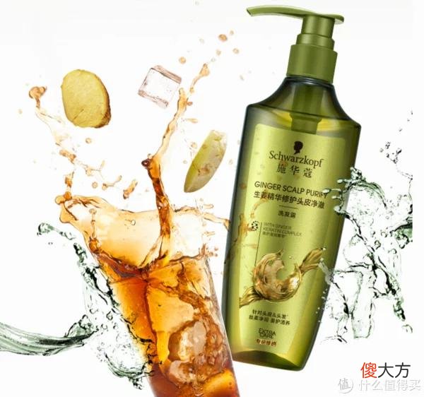 【就爱时尚】“蒲公英”男孩女孩们看过来~