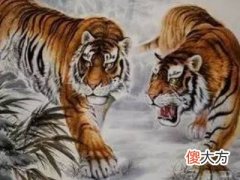 1998年属虎人2022年运势运程男性,98年24岁属虎男2022本命年每月运程